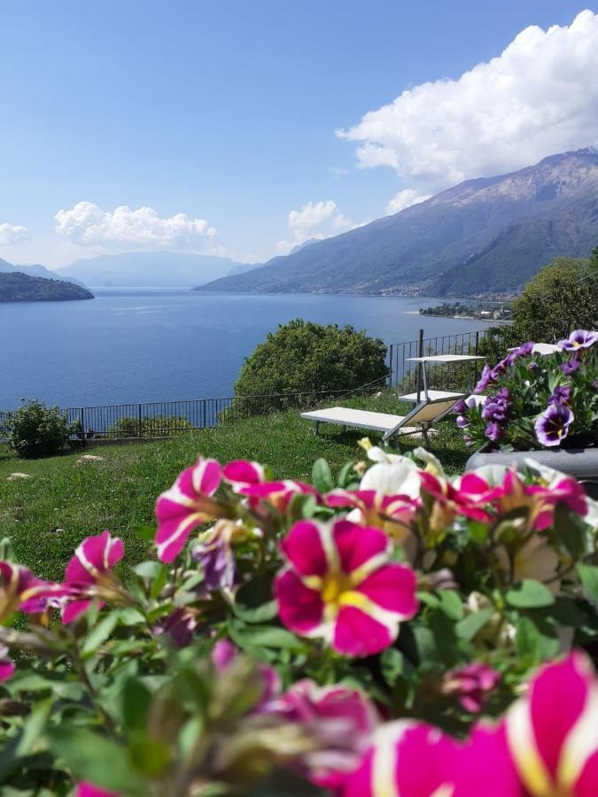 Apartmán Ca' Del Barba Domaso Exteriér fotografie